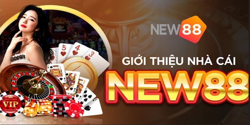 Nhà Cái New88 - Địa Chỉ Cá Cược An Toàn 2024